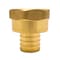 Apollo 3/4 in. Brass PEX Barb x 3/4 in. Female Pipe Thread Adapter Jar (25-Pack), 25PK APXFA3425JR - alternate 2